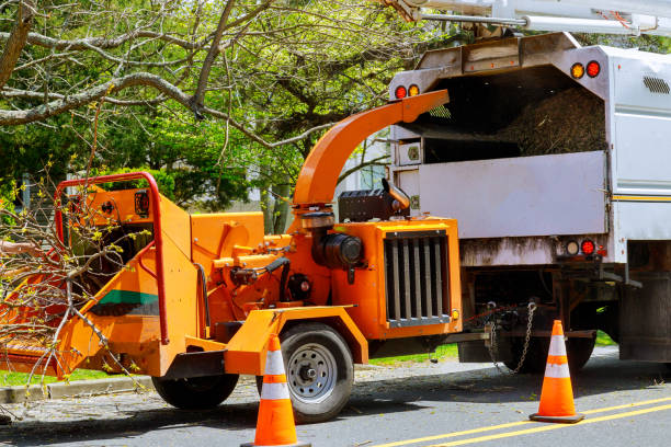 Best Tree Clearing Services  in Coopersville, MI